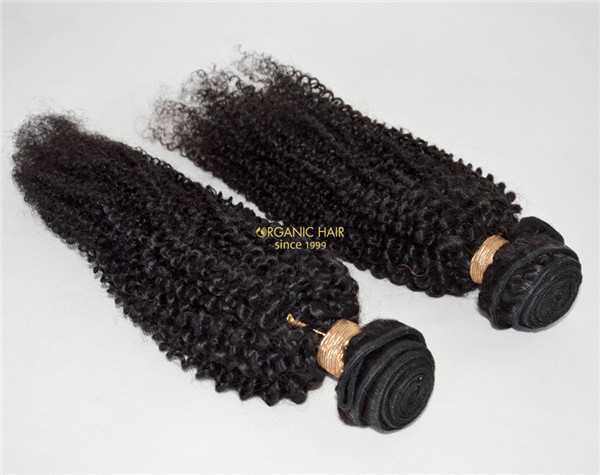 Afro kinky curly real 100 human hair extensions